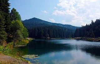 Sinop’ta saklı cennet: Akgöl Tabiat Parkı