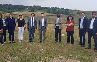 Sinop’taki Temel Sektörlerin Rekabetçiliğinin...