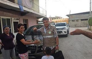 Sokakta bulunan peçeli baykuş doğaya salındı