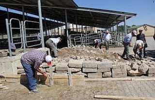Şuhut Hayvan Borsası’nın hayvan indirme rampasına...