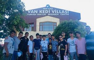 Tekirdağlı öğrenciler Van kedisini sevdi