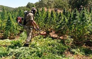 Terörün finans kaynağına büyük darbe