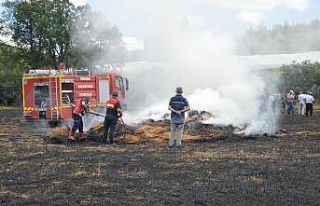 Tokat’ta buğday tarlasında korkutan yangın