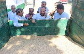 Tonlarca nohut çiftçinin elinde kaldı