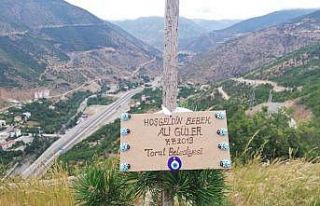 Torul’da her yeni doğan için bir fidan dikiliyor