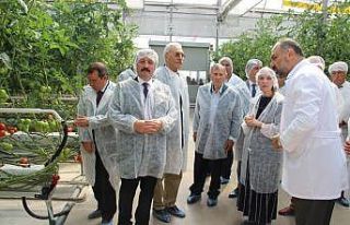 Türkiye’nin fabrika baca atığı ile ısıtılan...