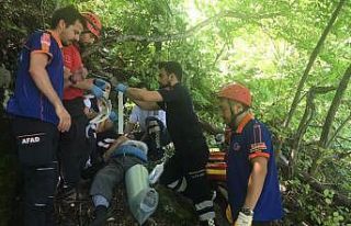 Uludağ’da ıhlamur toplarken ağaçtan düştü,...