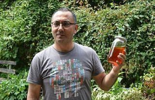 Ünlülerin kestane balı Ordu’dan