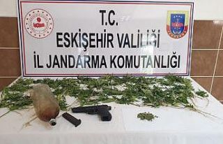 Uyuşturucu çiftçileri yakalandı