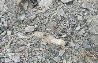 Van’da terör operasyonu