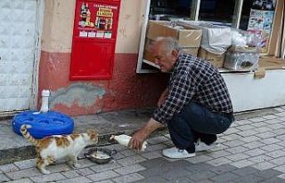 Veteriner Hekim, işyerinin önünde sokak hayvanlarını...