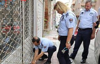 Yabancılara ait ruhsatsız dükkanlar mühürlendi