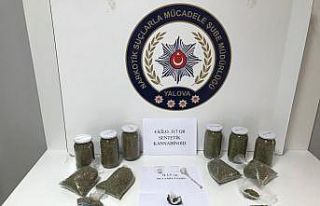 Yalova’da uyuşturucu operasyonu