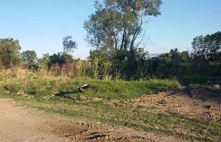 Yaralı Leyleğe muhtar sahip çıktı