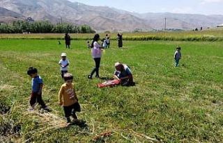 Yüksekova’da uçurtma şenliği