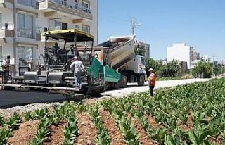 Yunus Emre Mahallesinde asfalt çalışması