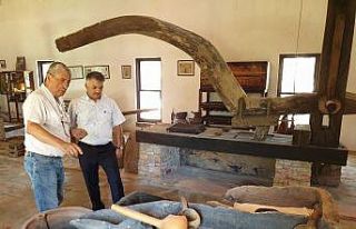 Zeytinin Anadolu topraklarındaki yolculuğu ve geçmişi...