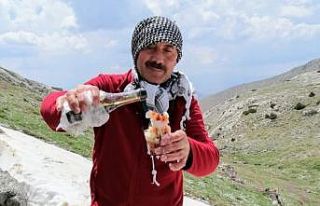 2 bin 700 rakımda ’karsambaç’ keyfi