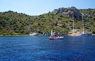 Ada didik didik arandı, eşek bulunamadı