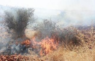 Adıyaman’da, orman yangını korkuttu