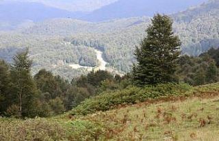 Akkuş’a gölet müjdesi