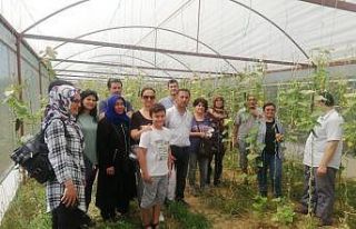 Alaşehir’de bilinçli tarım için seracılık...