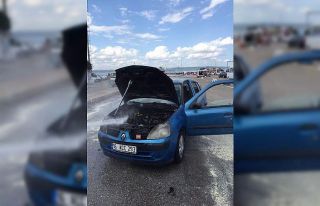 Alev alev yanacaktı