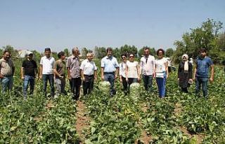 Antalyalı çiftçilerden Gevaş’a ziyaret