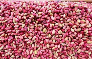 Antep fıstığı cep yakıyor