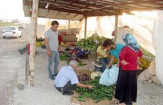 Araban Ovası’nda yetişen organik ürünlere yoğun...