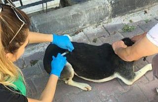 Aşılama ekibi mahallelerde