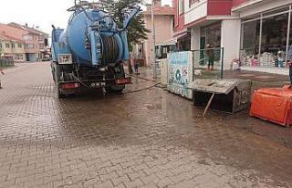 Aslanapa’da çöp konteynerleri ilaçlanıyor