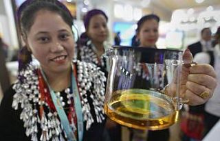 Assam çayı rekor fiyata satıldı