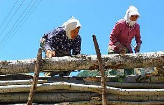 Aydın’daki keresteci kadınların ekmek mücadelesi