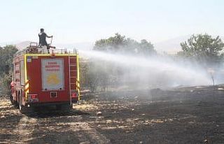 Bahçe yangınında 80 meyve ağacı zarar gördü