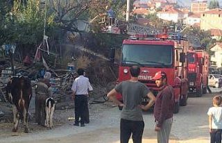 Bahçedeki odunlar alev aldı bir mahalle yanmaktan...