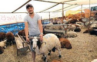 Bayraklı’da Kurban Bayramı hazırlıkları tamam