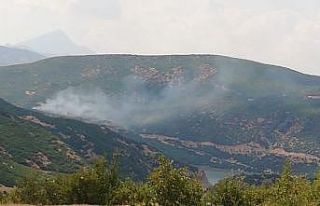 Bingöl’de orman yangını, ekipler söndürdü