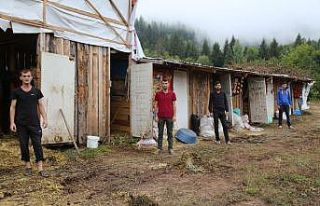 Boğalar şampiyona öncesi kampa girdi