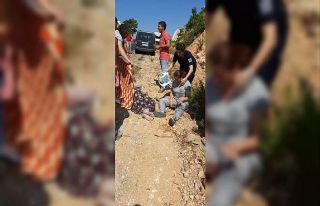 Bu araçtan sağ çıktılar