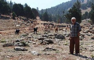 Büyükşehir, Geçmen yaylasına yeni yol açıyor