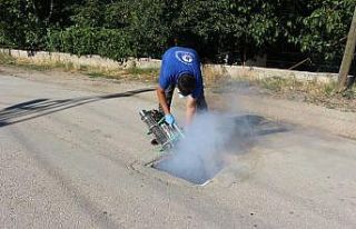 Büyükşehirin haşere mücadelesi sürdürdü