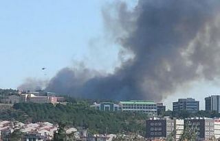 Çanakkale’de orman yangını