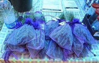 Çatlıbozkırlı kadınlar, lavanta çiçeğinden...