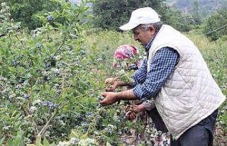 Dağ köyünün yüzünü güldürdü... Dönümden...