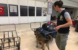 Dedektör köpekler AŞTİ’yi didik didik etti