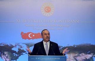 Dışişleri Bakanı Çavuşoğlu, "Irak ve Suriye’de...