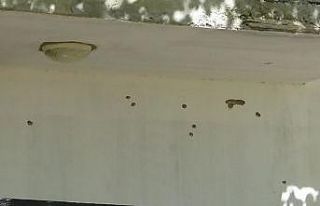 Diyarbakır’daki silahlı kavgada kahreden detay