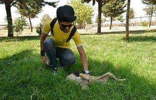 Diyarbakırlı vatandaşlardan Hayvan Bakımevi ve...