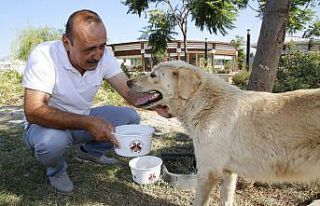 Döşemealtı’nın her bir köşesine mama ve su...